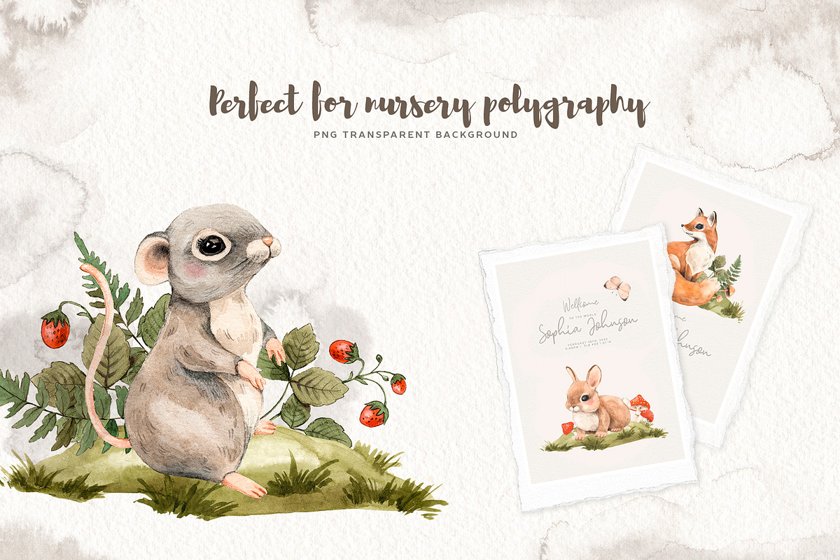 Watercolor Forest Little Animals set, an Animal Illustration by Alamella (Photo 9 of 17)