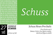 SchussNewsProItalic No.27 (1 Font), a Serif Font by typic schuss (Thumbnail 1 of 7)