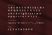 Ranste – Elegant Luxury Serif Font, a Serif Font by Graphicxell (Thumbnail 7 of 8)