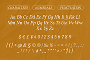 Birchie - Nostalgic Modern Serif, a Serif Font by Surplus Type Co (Thumbnail 7 of 8)