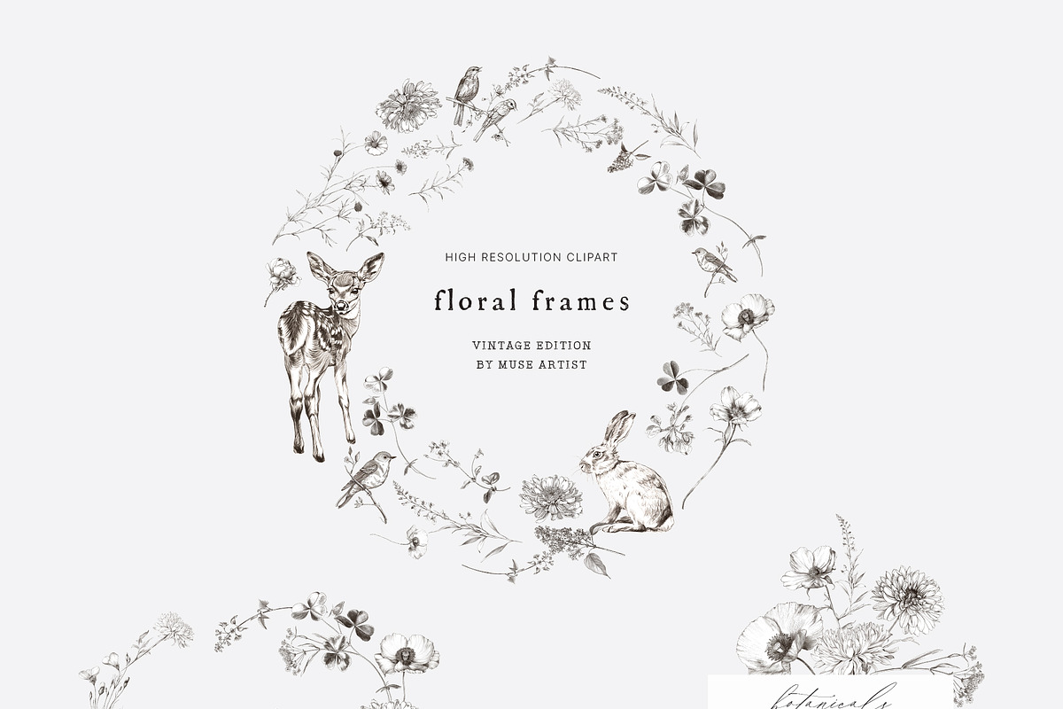 WILD GARDEN Pencil Sketch Clipart, a Decorative Illustration by Muse Artist (Photo 13 of 14)