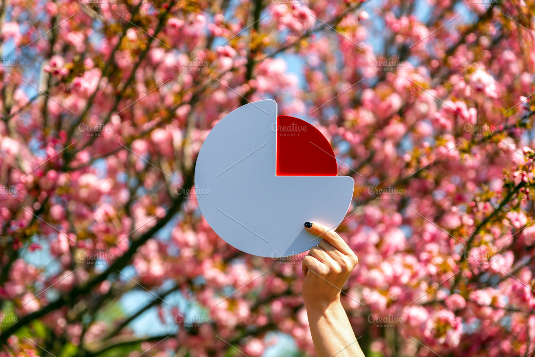 Hand holding red and white pie chart icon against a vibrant back, a Nature Photo by Ales Munt