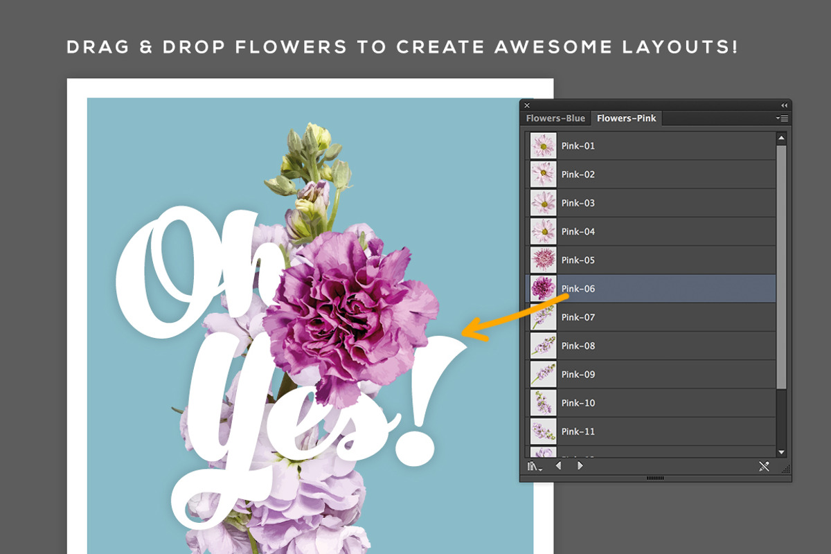FlowerType for Illustrator preview 2