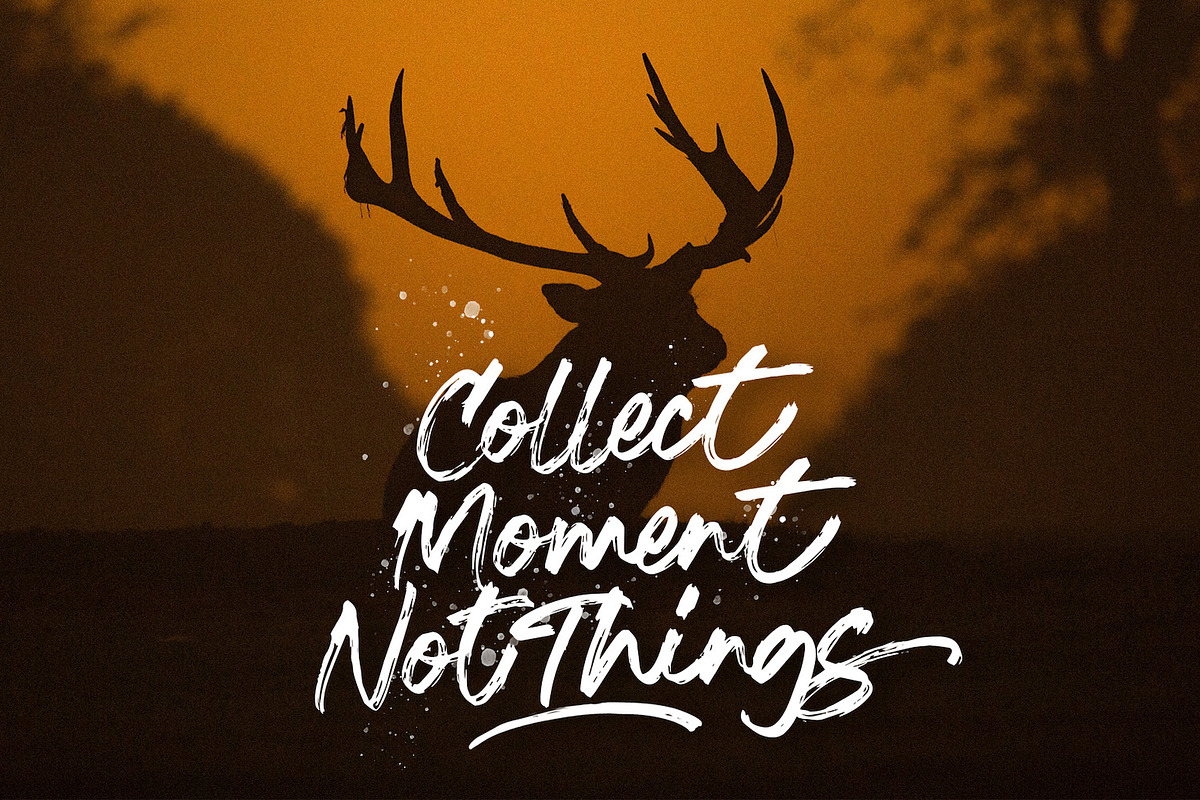 Ramez - Textured Brush Font, a Script Font by StringLabs (Photo 6 of 13)