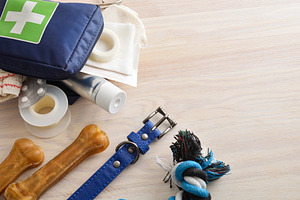 Dog Collar and Toys Beside First Aid Supplies