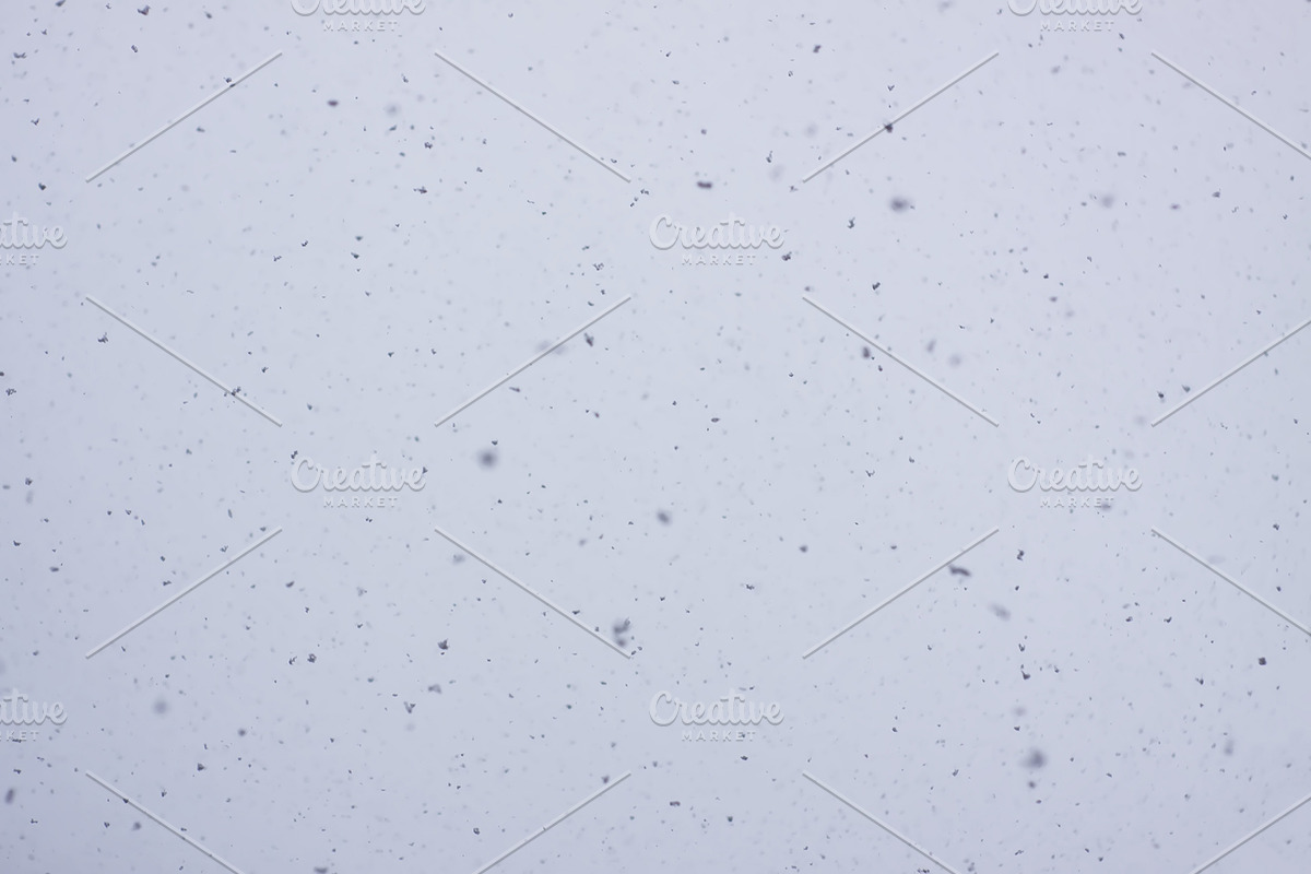 Snowfall textures and overlays, a Nature Photo by pictures for you (Photo 10 of 15)