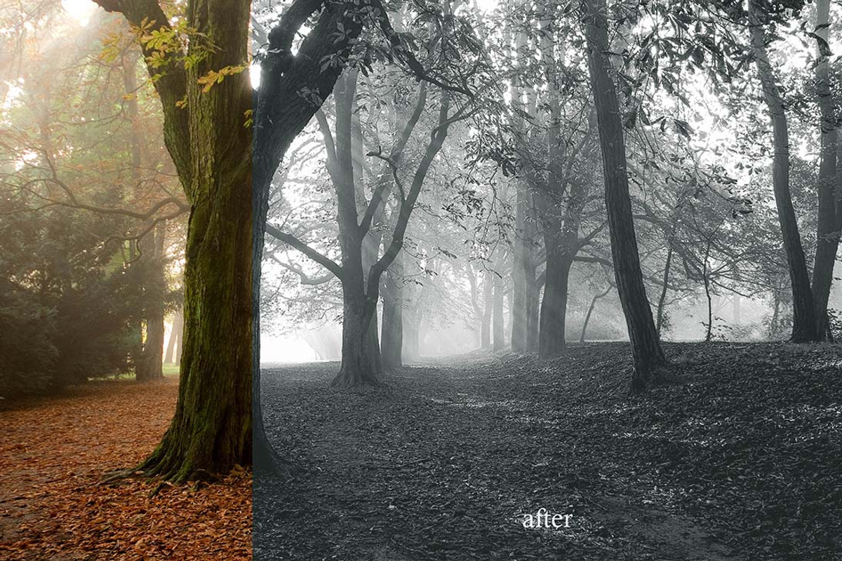 10 Matte B & W Landscape Drama preview 4