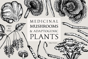 Magic Mushrooms & Medicinal Plants