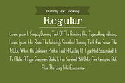 Zeraf Font, a Script Font by Photoshop Action (Thumbnail 3 of 12)
