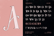 Besta Rosta - Romantic Classic Font, a Serif Font by Drizy (Thumbnail 4 of 10)
