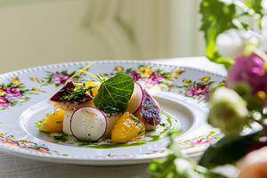 Scallops and radish appetizer with citrus segments and fresh herbs on a fine di, a Photo by Studio ANNA