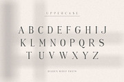Hilden - stylish modern serif font, a Serif Font by Penatic Studio (Thumbnail 9 of 14)