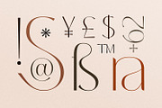 Coastine - Chic Modern Font, a Sans Serif Font by Typetemp Studio (Thumbnail 9 of 26)