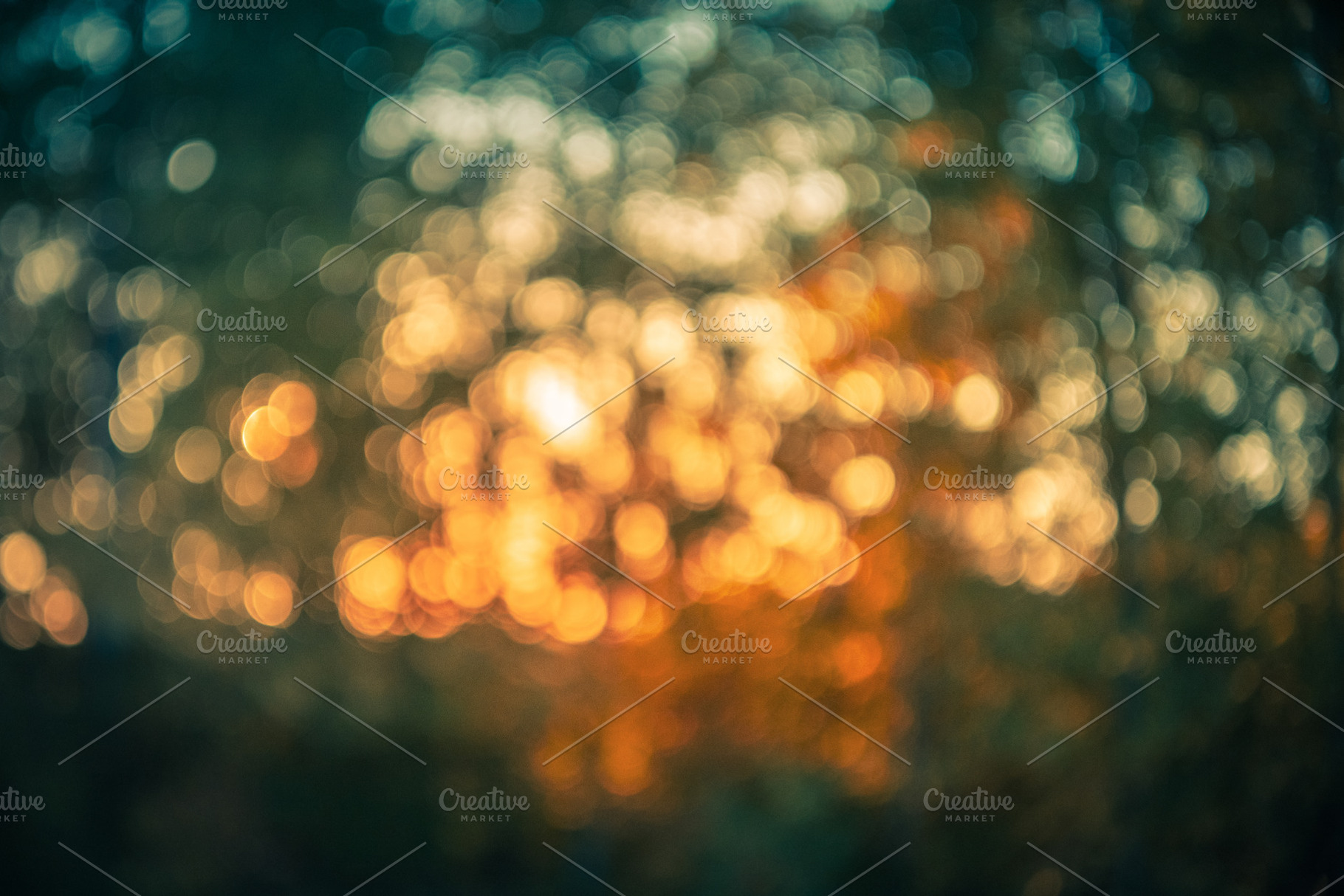 Fall Color Forest Bokeh, an Abstract Photo by ClubhouseArts