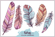 Feathers. Hand Drawn Collection, an Object Graphic by alexrockheart (Thumbnail 4 of 5)