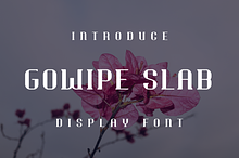 Gowipe Slab