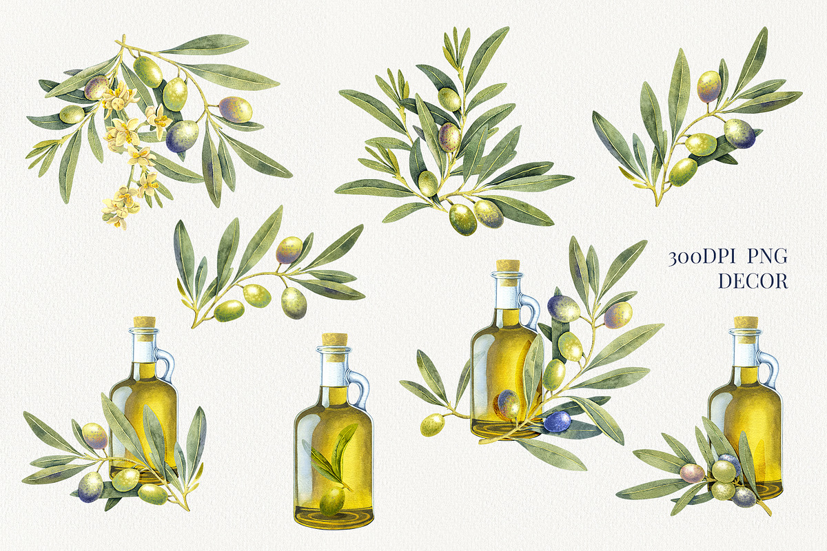 Olive Branches Watercolor Clipart, a Food Illustration by YarovaArt (Photo 26 of 28)