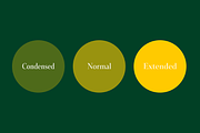 Senlot Didone, a Serif Font by insigne (Thumbnail 2 of 4)