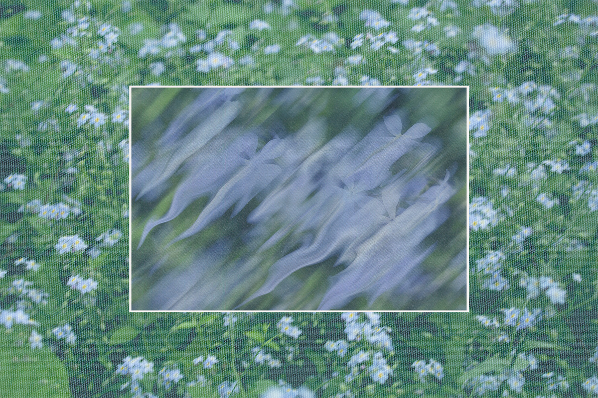 Caelum - Botanical Backgrounds, a Texture Graphic by Watercolor_Ma (Photo 6 of 9)