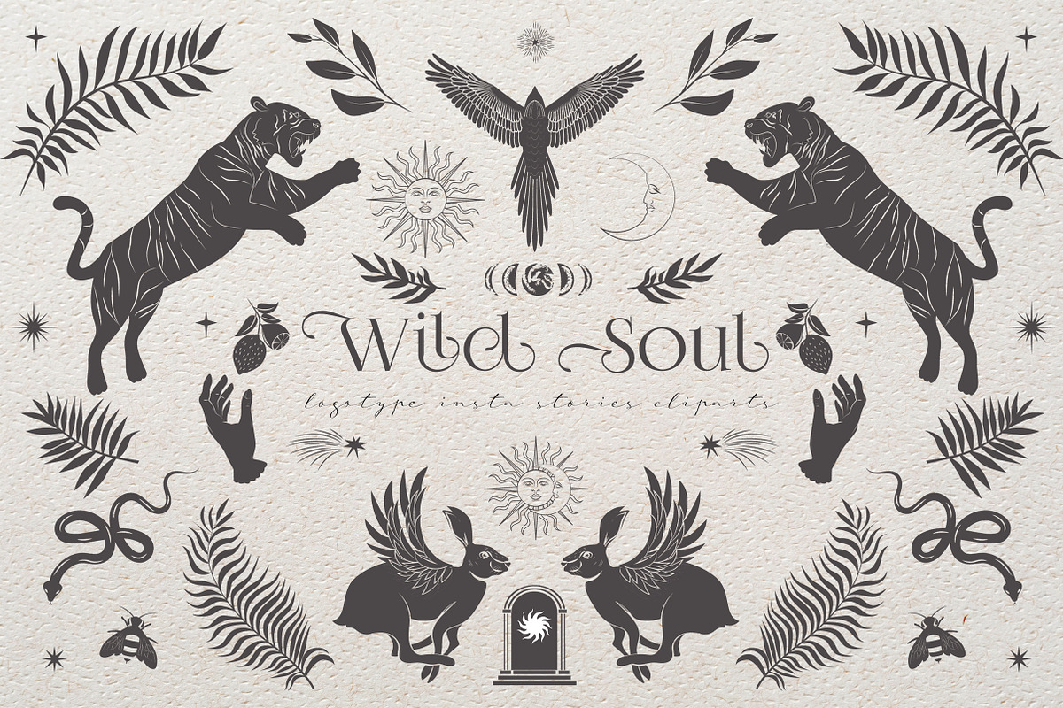 Wild Soul logo & insta stories, an Animal Illustration by Mio Buono (Photo 1 of 14)