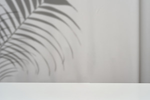 A white, empty tabletop with a soft palm branch shadow against a, a Background Photo by ndanko