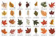 Autumn Leaves Clipart Bundle, a Seasonal Illustration by Whimsy Brush Studio (Thumbnail 3 of 9)