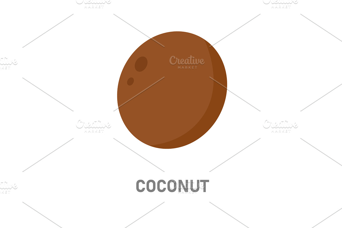 Coconut tropical fruit icon. Brown, a Food Illustration by GraphiShop