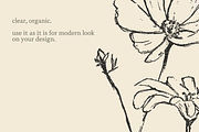 Sketchy Pencil Drawing Wildflowers, an Illustration by elpple (Thumbnail 4 of 7)