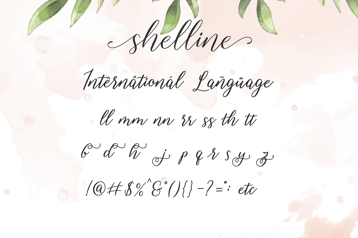 Shelline - Romantic Script, a Script Font by Almarkhatype (Photo 8 of 11)