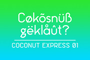 Coconut Express Font, a Sans Serif Font by NIZE Shop (Thumbnail 1 of 2)