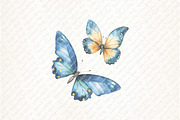 Watercolor Blue Butterflies Cliupart, an Illustration by Watercolor design (Thumbnail 8 of 12)
