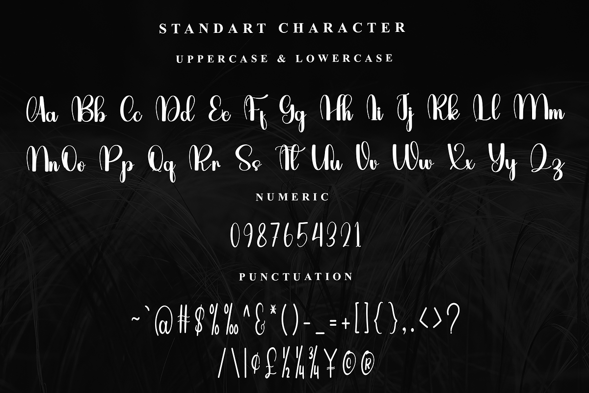 Alphabet, a Handwritten Font by InermediaSTUDIO (Photo 4 of 7)