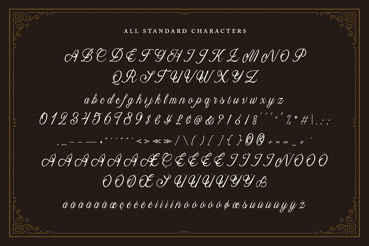 Bristok Lemonade - Cursive Script, a Script Font by Variatype (Photo 11 of 15)