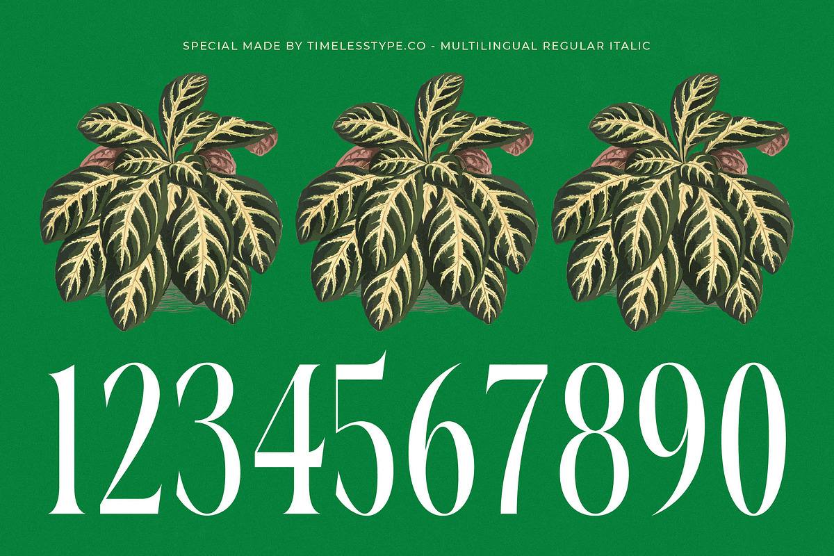 Questing Silver Modern Serif, a Serif Font by timelesstype.co (Photo 17 of 20)