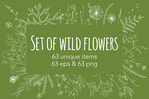 Set of wild flowers