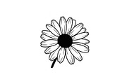 Daisy Flower Line Art Vector Bundle0, an Illustration by jahid234 (Thumbnail 48 of 51)
