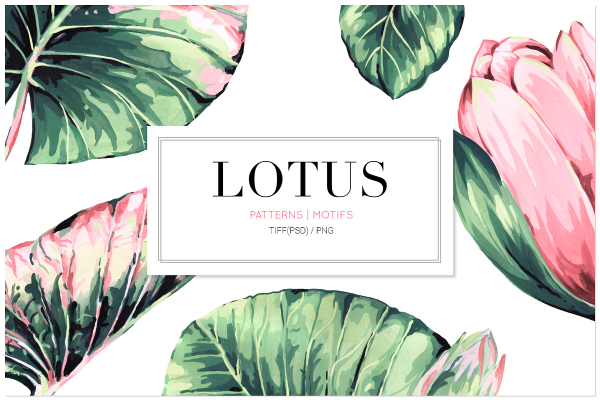 Lotus, Hand-Painted Pattern Set!, a Pattern Graphic by TSTUDIO