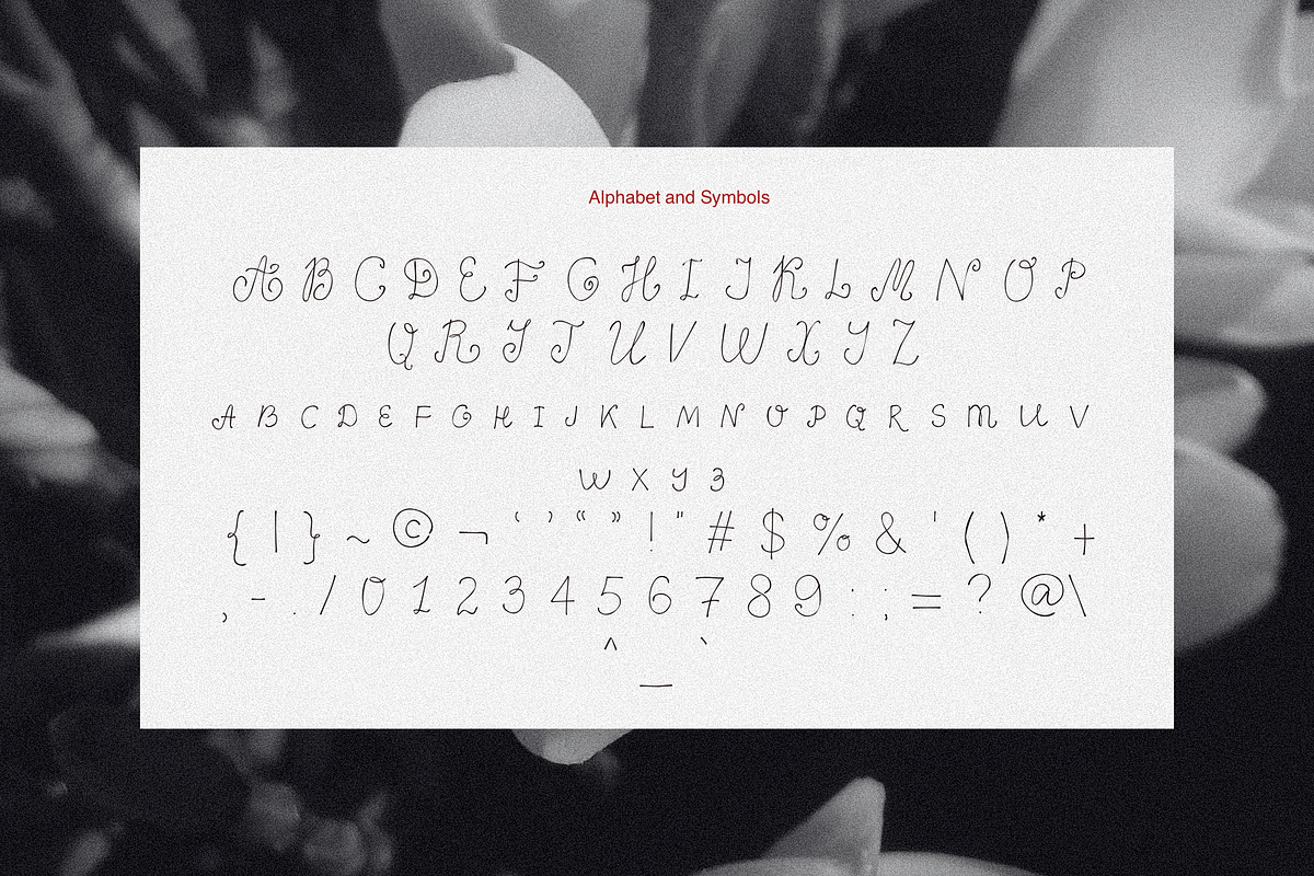 The Hermit Whimsical Elegant Font, a Script Font by Ashiya Pixel (Photo 11 of 11)