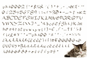 Casual Handkitten Font Family, a Script Font by LuisFaus (Thumbnail 3 of 3)