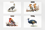 Safari Watercolor Collection, an Animal Illustration by artsy-fartsy (Thumbnail 12 of 13)