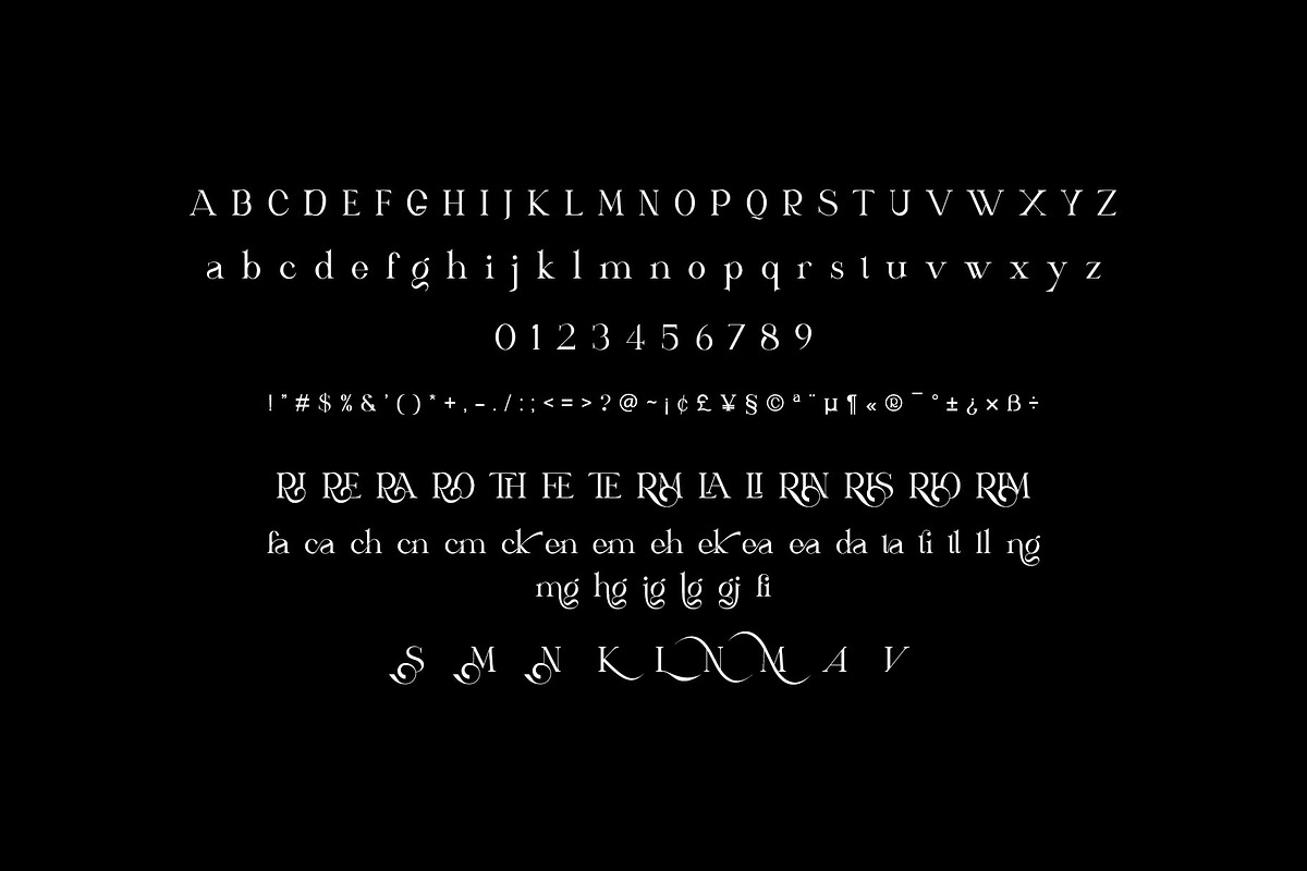 ARISEV Unique Serif Typeface, a Serif Font by yaqublekker (Photo 10 of 10)