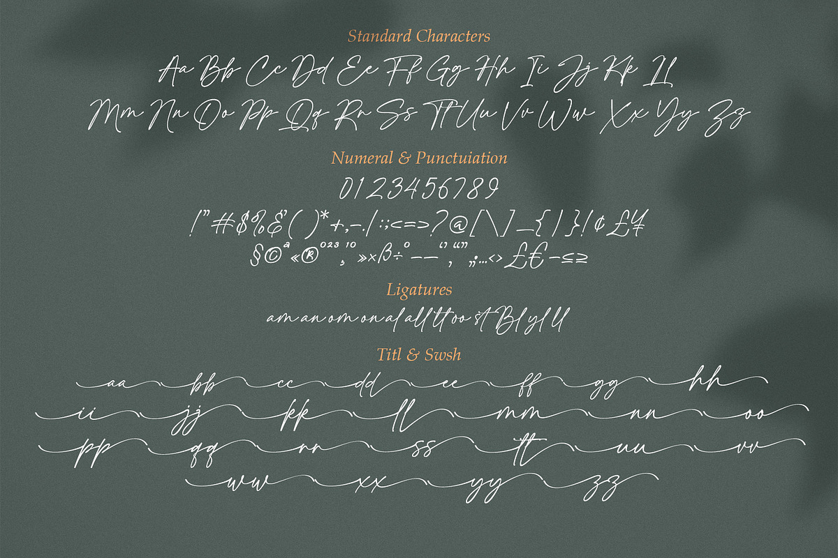 Adore History - Handwritten Font, a Script Font by MJB Letters (Photo 9 of 11)