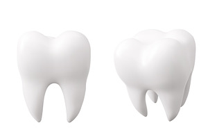 White tooth realistic 3d models, an Object Illustration by art PVP - market