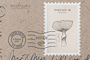 Sketchbook Mushrooms Vintage Art, a Decorative Illustration by Pigment Café (Thumbnail 6 of 7)