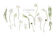 Coastal hand-painted watercolor, a Decorative Illustration by Youksy (Thumbnail 7 of 17)