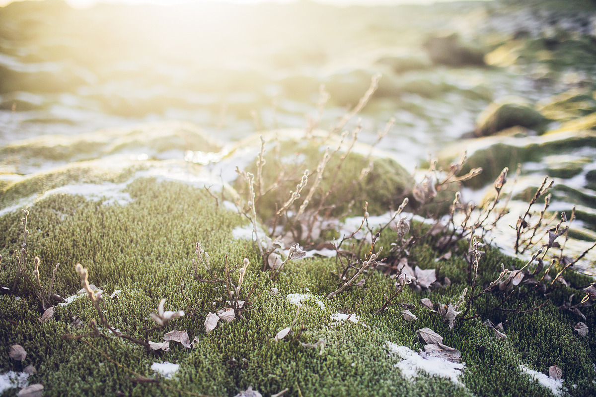 LIGHTROOM PRESETS ICELAND! travel, an Action Add-On by Graphics, Presets, Photos (Photo 31 of 58)