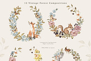 Vintage Forest. Watercolor clipart, an Animal Illustration by Ooh Lily (Thumbnail 2 of 22)