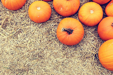 Halloween pumpkins on hay.