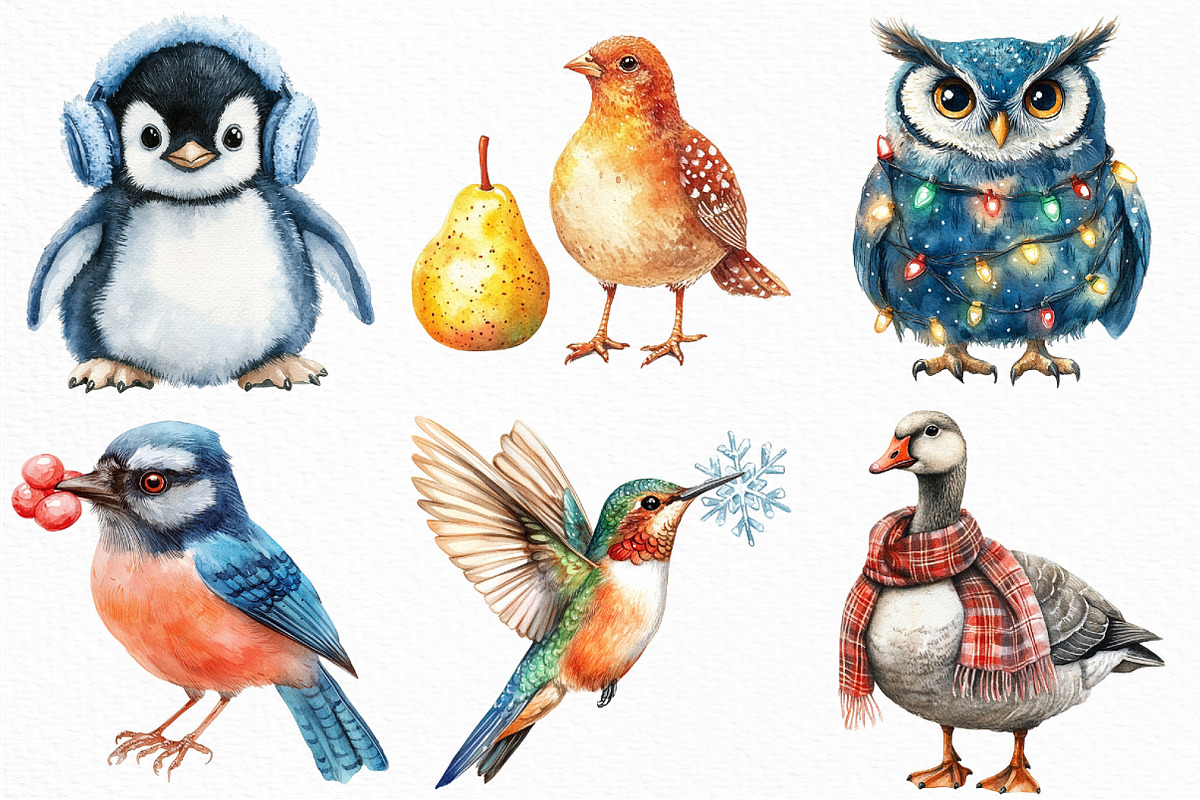 Christmas Birds Sublimation Clipart, an Illustration by Craft Nest (Photo 3 of 6)