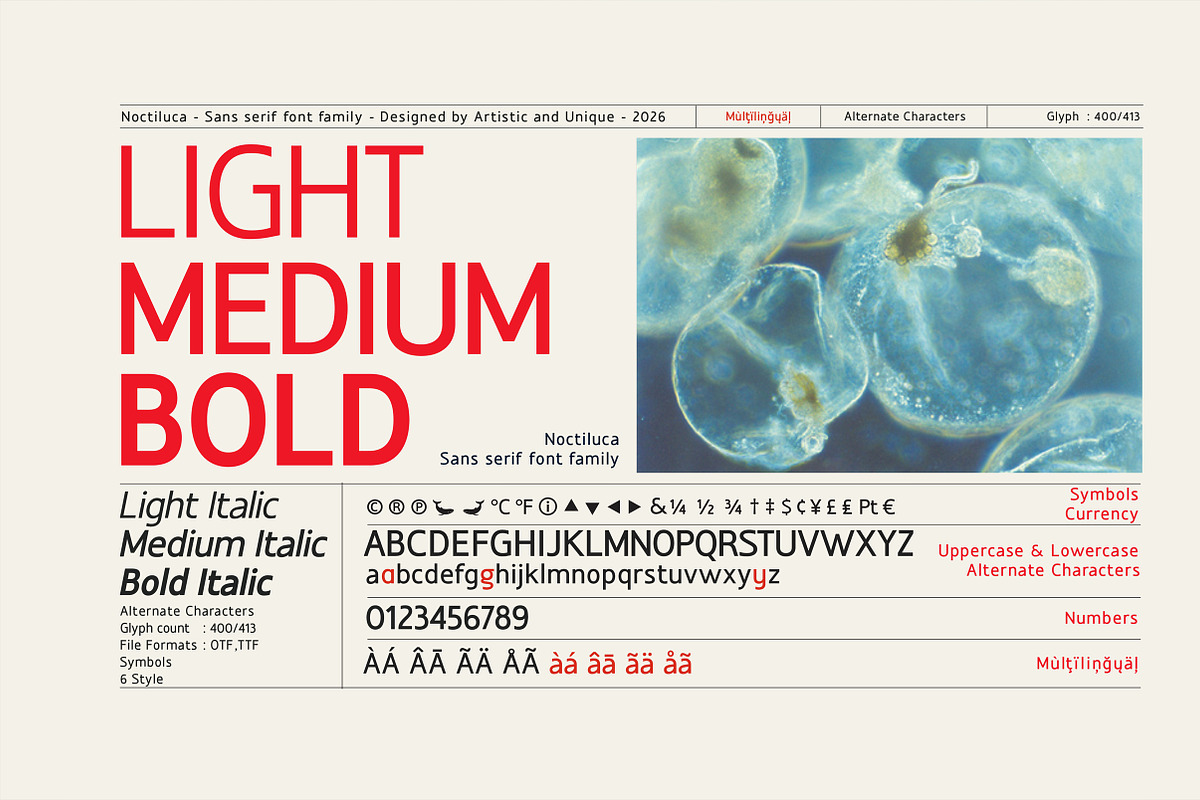 Noctiluca - Sans Serif Font Family, a Sans Serif Font by Artistic & Unique (Photo 2 of 15)